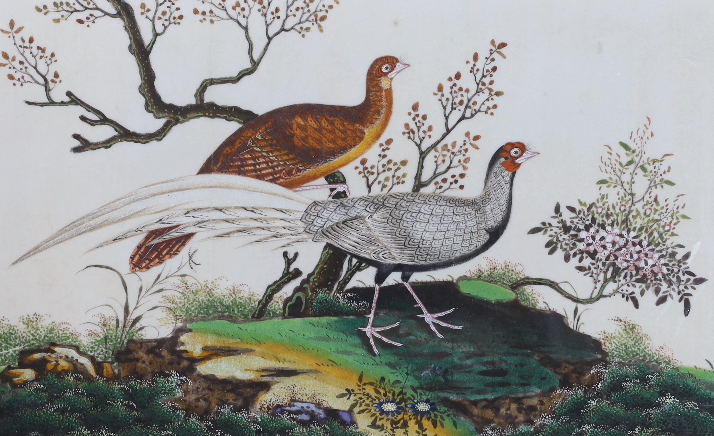 19th century Chinese School, four gouaches on pith paper, Studies of birds in landscapes, 18 x 30cm